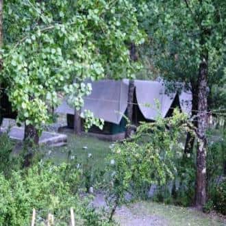 Stay In A Camping Ground In Nainital UK, Nainital 5